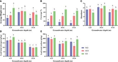 Impact of deeper groundwater depth on vegetation and soil in semi-arid region of eastern China